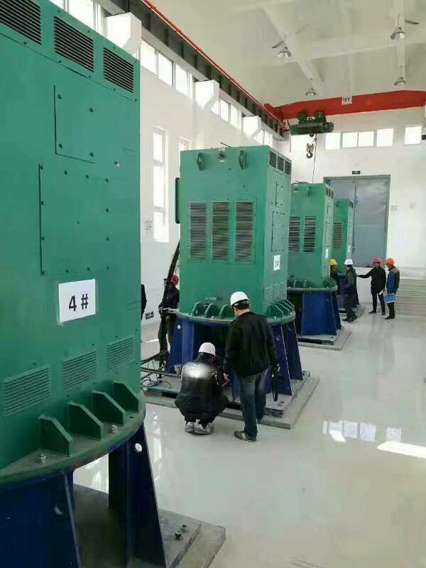 蓬莱镇某污水处理厂使用我厂的立式高压电机安装现场